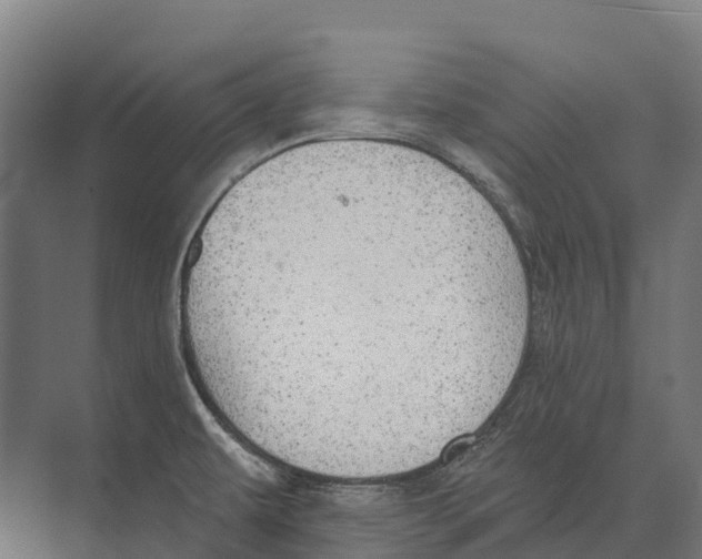 X0000071961479200608041606