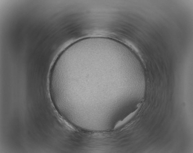 X0000071961480200608041606