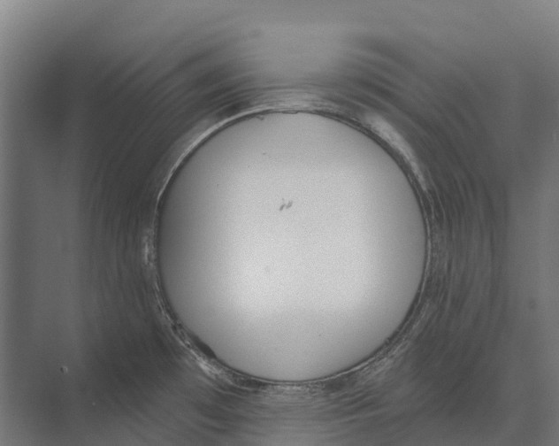 X0000071961481200608041606