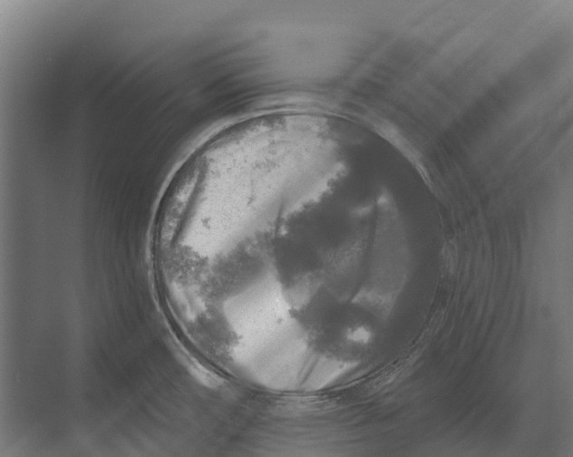 X0000071961482200608041606