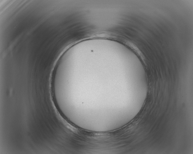 X0000071961483200608041606