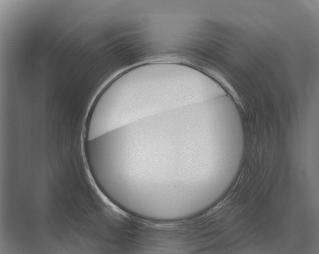 X0000071961484200608041606