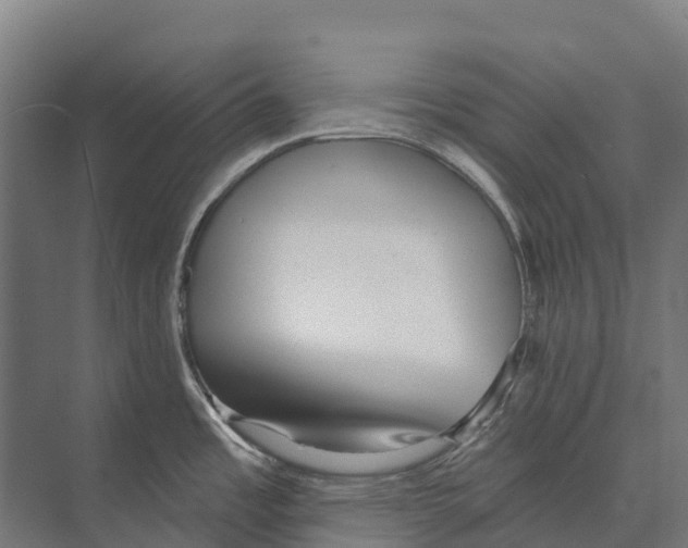 X0000071961485200608041606