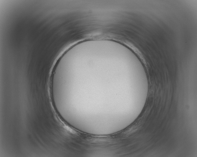 X0000071961486200608041606