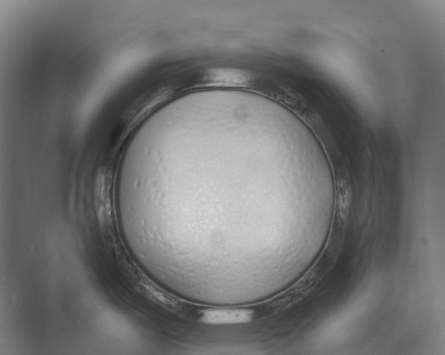 X0000071961487200608041606