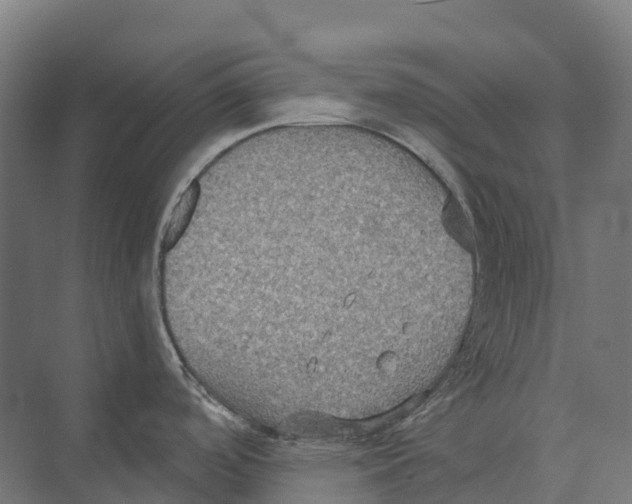 X0000071961488200608041606