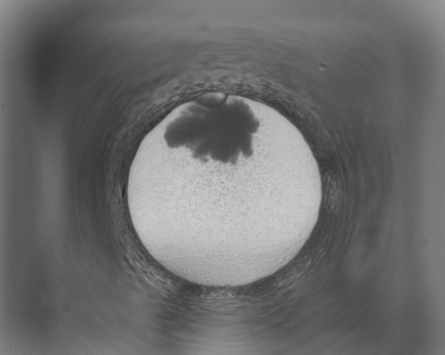 X0000071961489200608041605