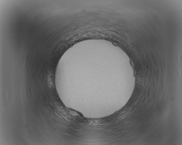 X0000071961490200608041605