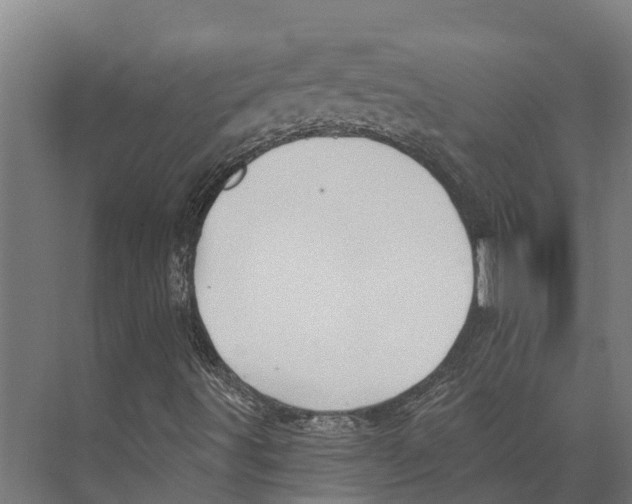 X0000071961491200608041605