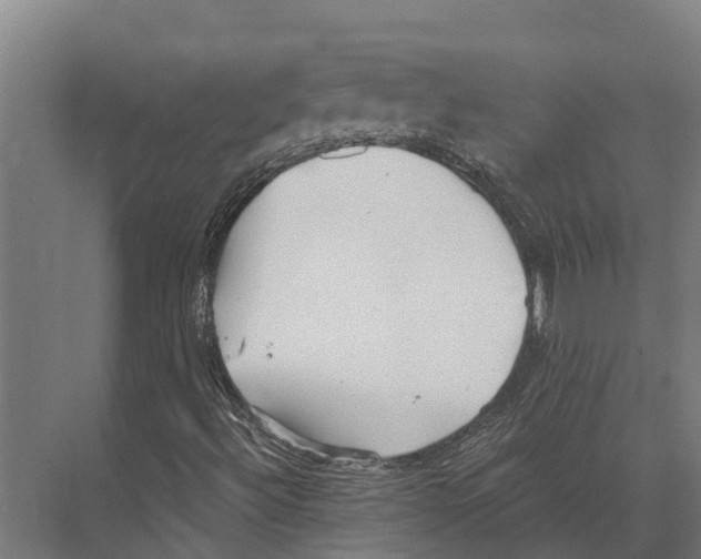 X0000071961492200608041605