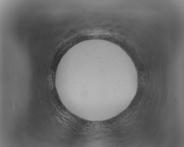 X0000071961493200608041605