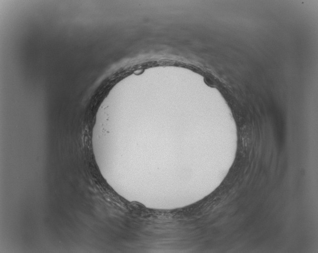 X0000071961495200608041605