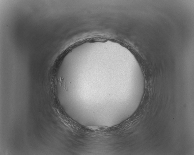 X0000071961496200608041605