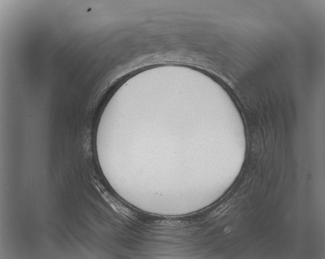 X0000071961499200608041605