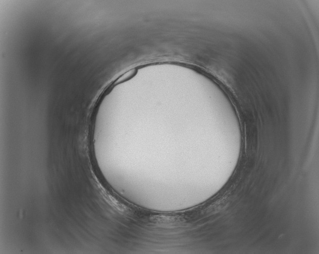 X0000071961500200608041605