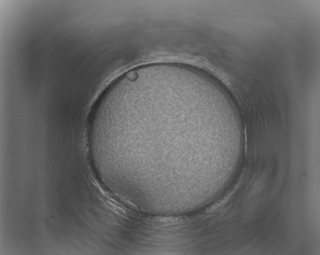 X0000071961501200608041605