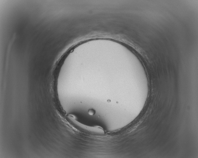 X0000071961502200608041605