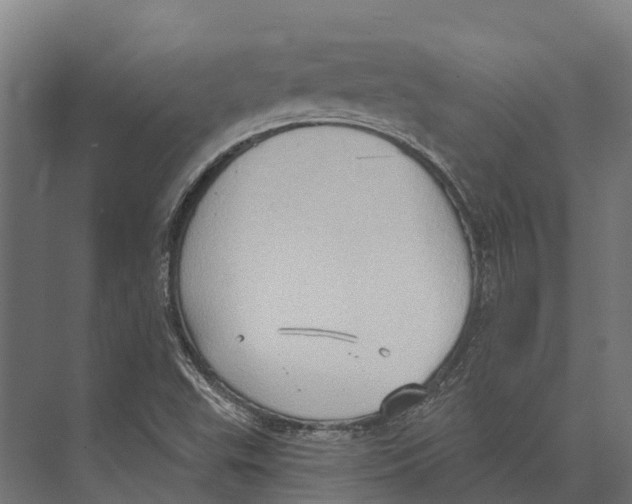 X0000071961503200608041605