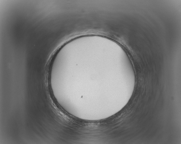 X0000071961504200608041605