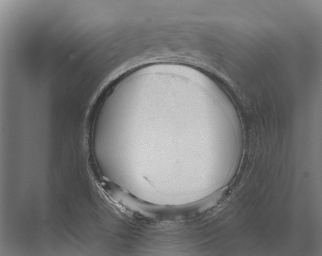 X0000071961506200608041605