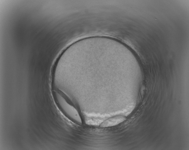 X0000071961508200608041605