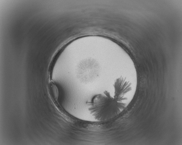 X0000071961509200608041606