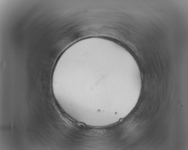 X0000071961513200608041606