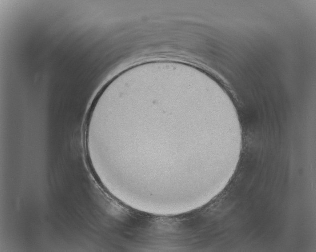 X0000071961514200608041606