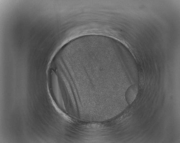 X0000071961515200608041606