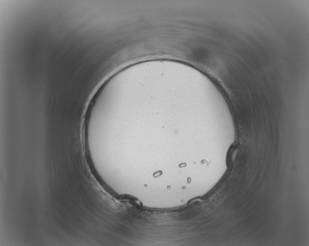 X0000071961516200608041606