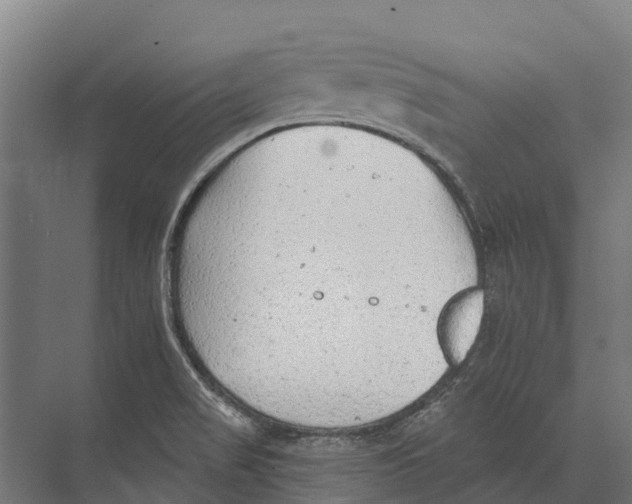 X0000071961517200608041606