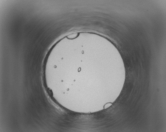 X0000071961518200608041606