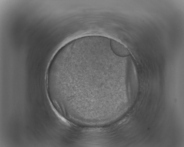 X0000071961519200608041606