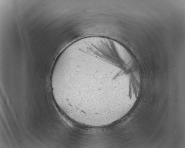 X0000071961521200608041606