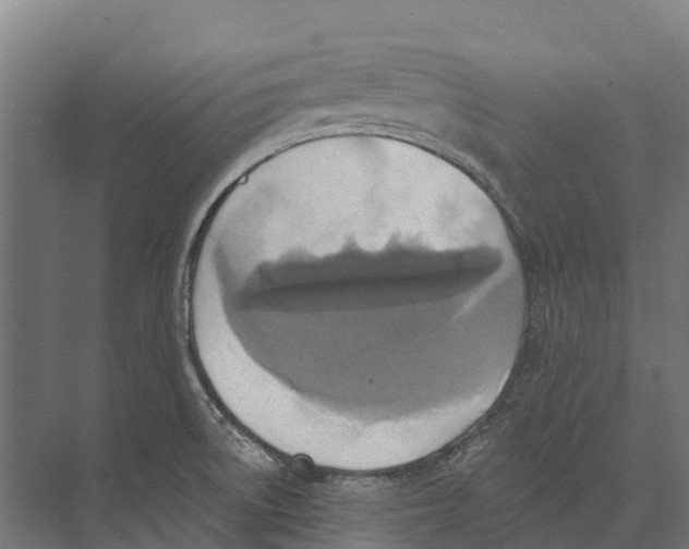 X0000071961522200608041606