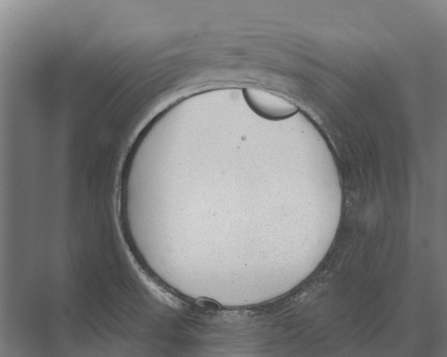 X0000071961523200608041606