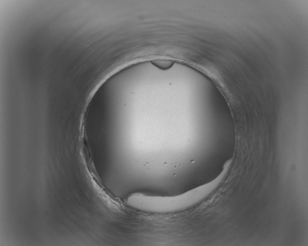 X0000071961524200608041606