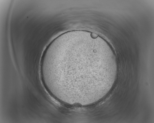 X0000071961525200608041606