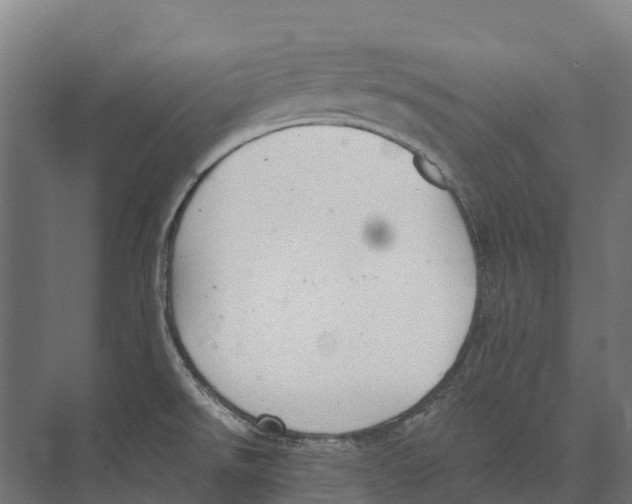 X0000071961526200608041606