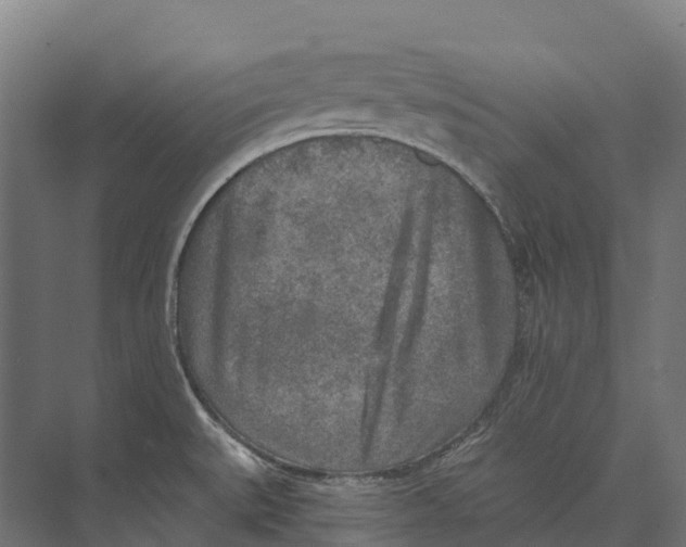 X0000071961527200608041606