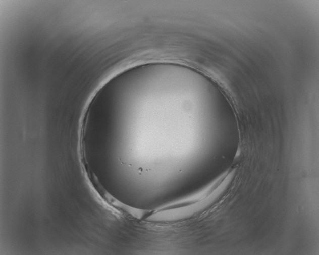 X0000071961528200608041606