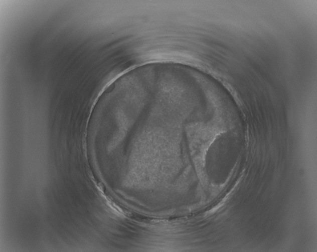 X0000071961529200608041606