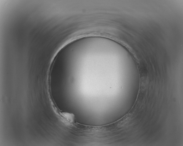 X0000071961530200608041606