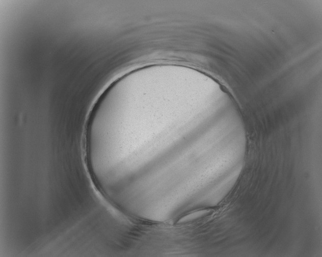 X0000071961531200608041606