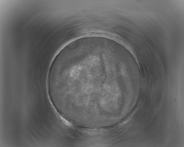 X0000071961533200608041606