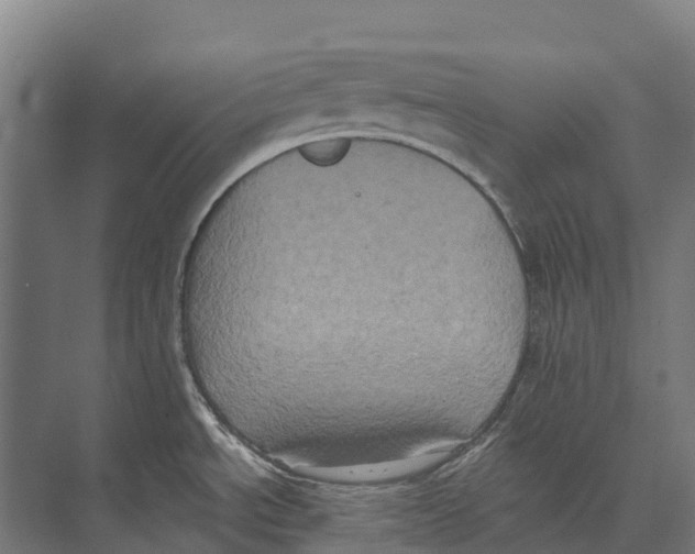 X0000071961534200608041606