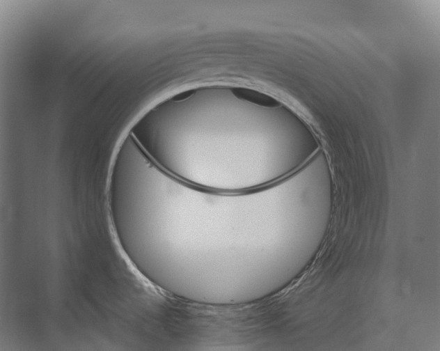 X0000071961536200608041606