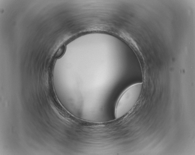 X0000071970108200607071048