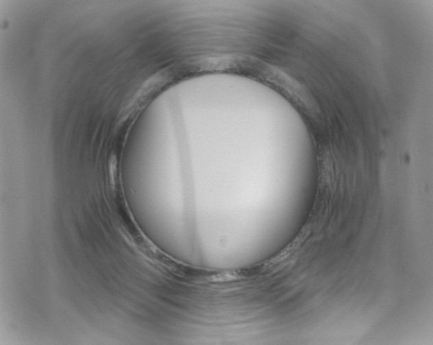 X0000071970118200607071047
