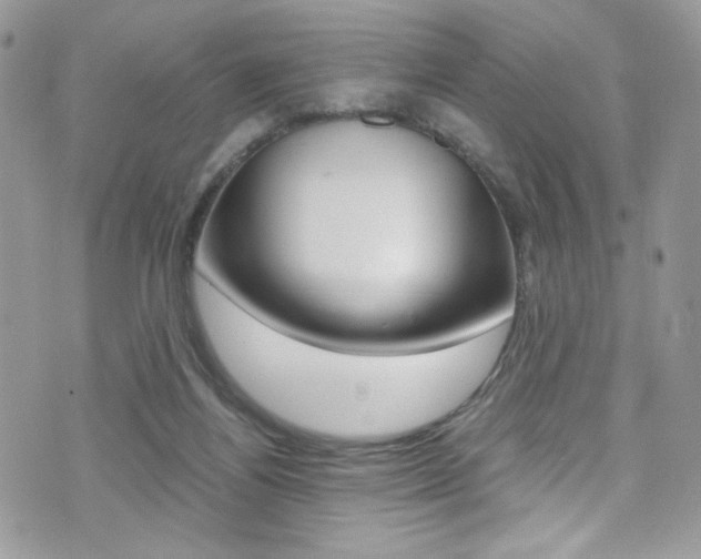 X0000071970164200607071047
